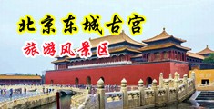 草逼网图图视频中国北京-东城古宫旅游风景区